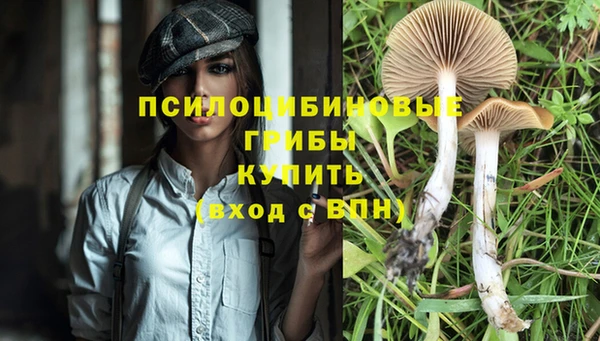 а пвп мука Баксан