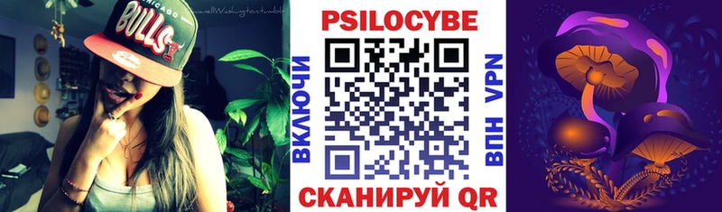 дарк нет Telegram Томмот Псилоцибиновые грибы Psilocybe