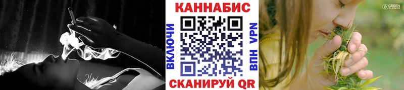Конопля гибрид  Томмот 